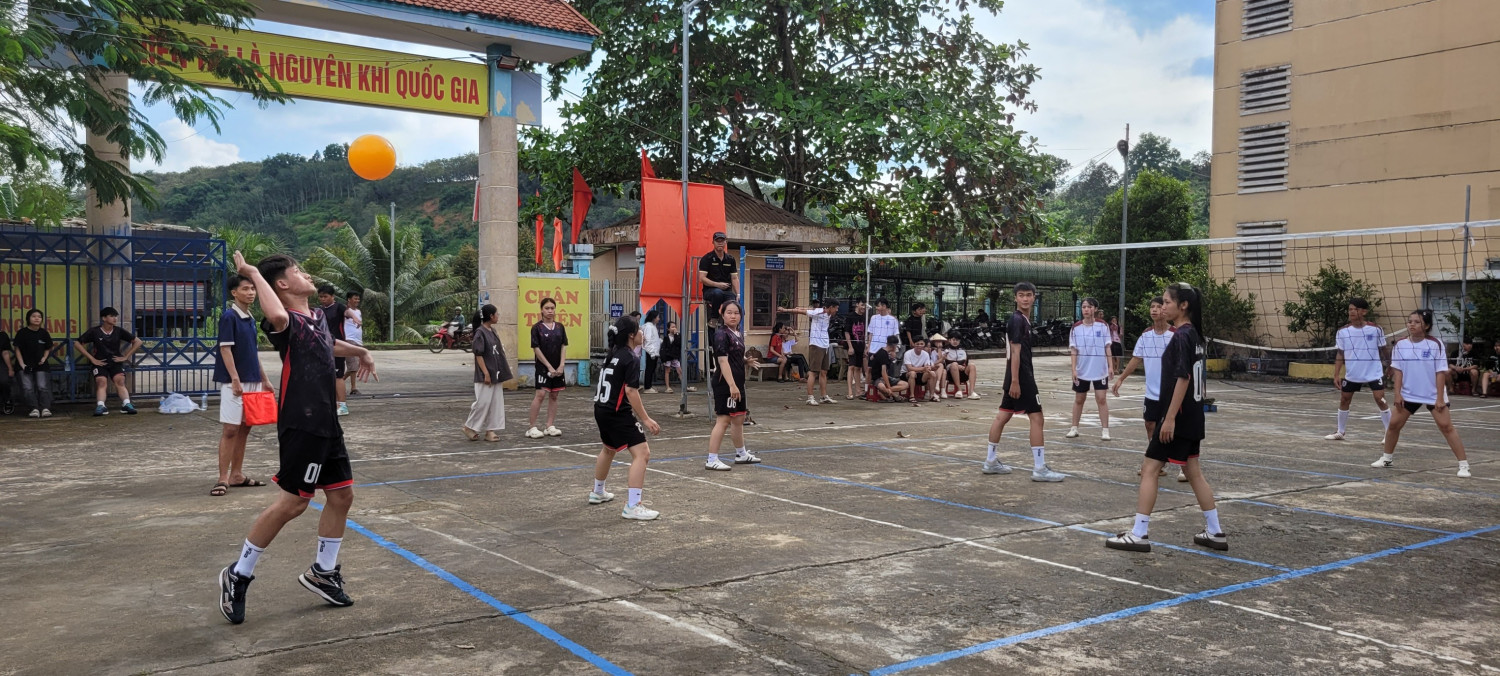 558653062 122184477032336718 8059778539237895692 n